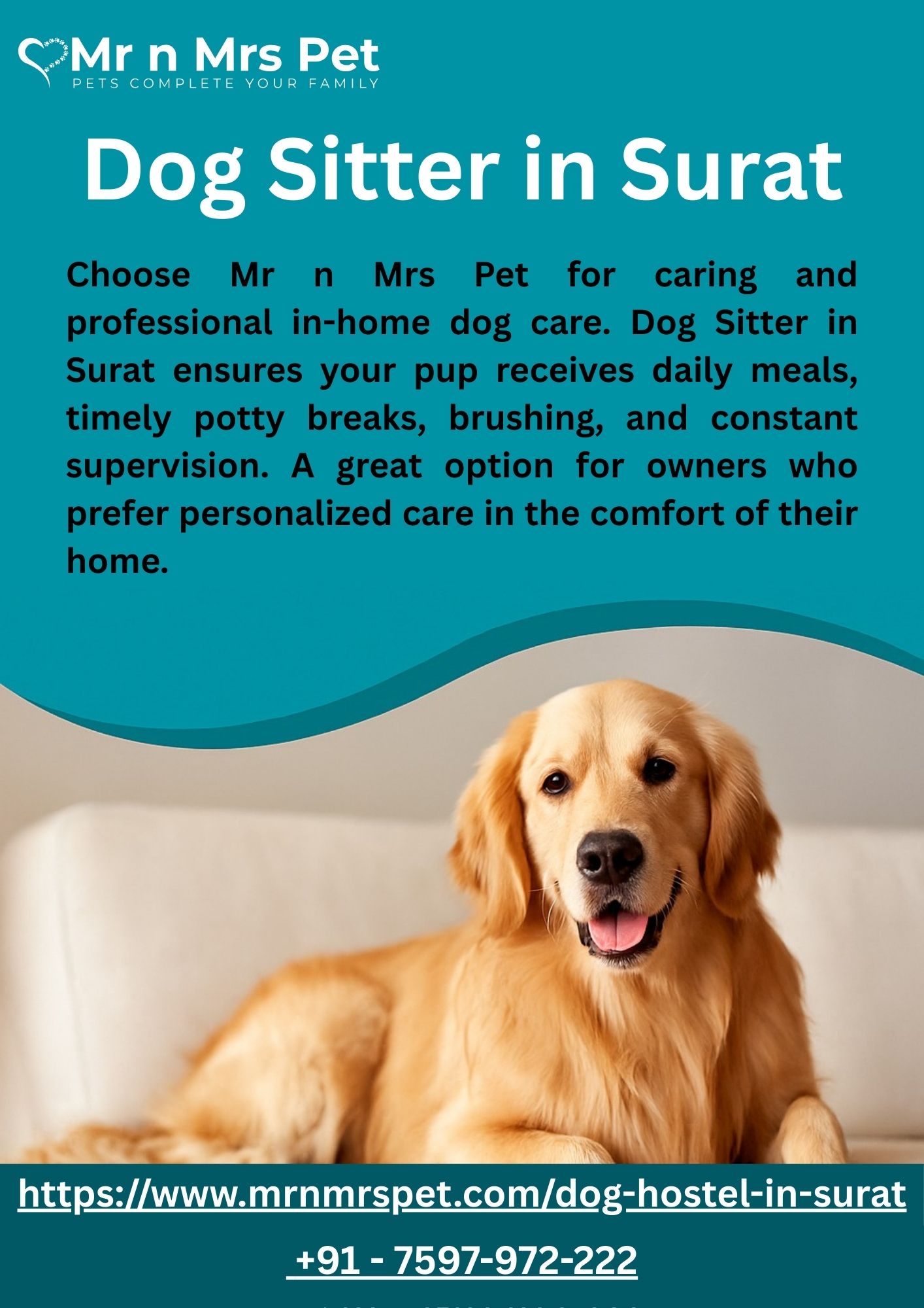 Dog Sitter in Surat